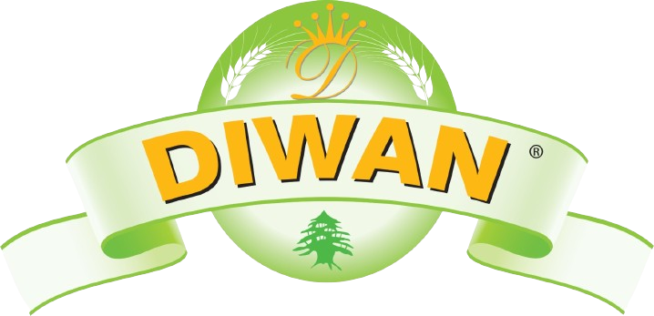 LOGO_DIWAN_UPDATED_HIBA_1-removebg-preview